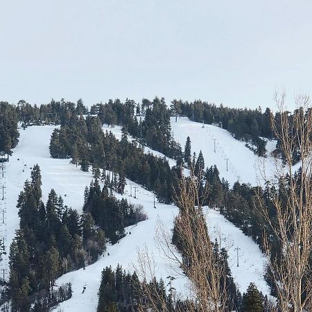 Bear Escapes II Affordable Luxury Cabin Sugarloaf 外观 照片