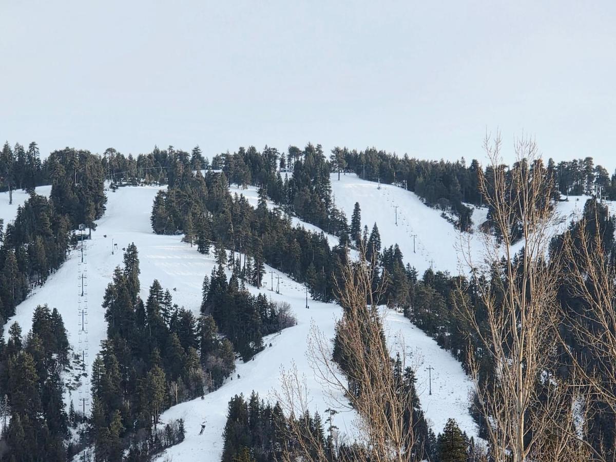 Bear Escapes II Affordable Luxury Cabin Sugarloaf 外观 照片