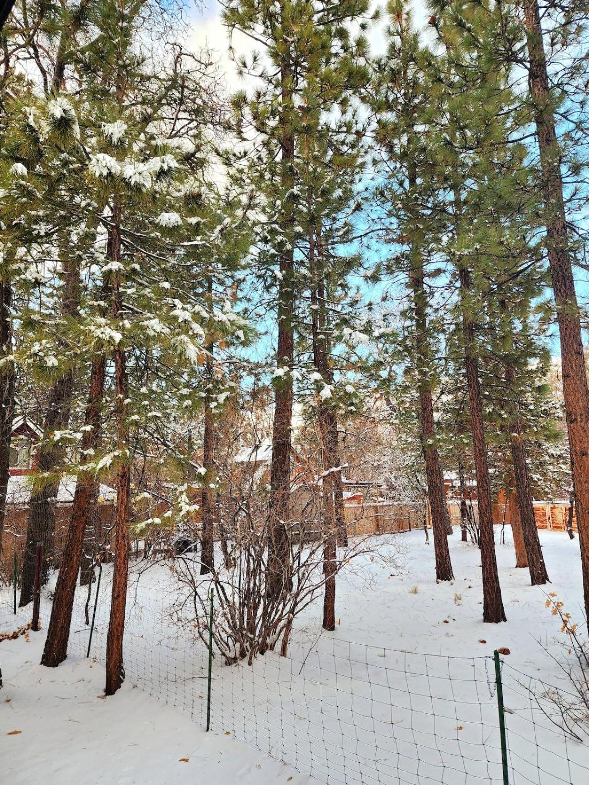Bear Escapes II Affordable Luxury Cabin Sugarloaf 外观 照片